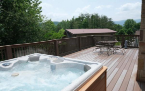 4 Cubs Cove Pigeon Forge